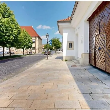Main Square Olive * Trnava